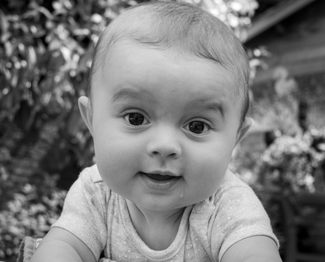 Knapperd