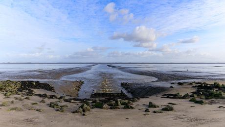 De schoonheid van de natuur.