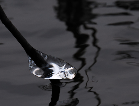 Muzikale ijsklontjes