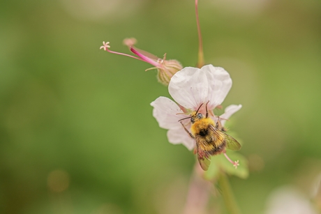 Summerschool Macro (2)