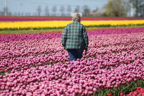 De eigenaresse....................