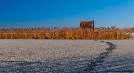 Kinderdijk