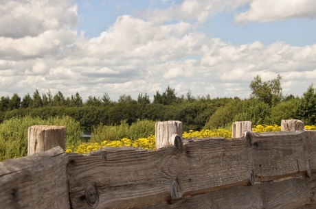 Natuurgebied Bargerveen