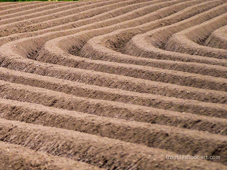 Landschap lijnen 