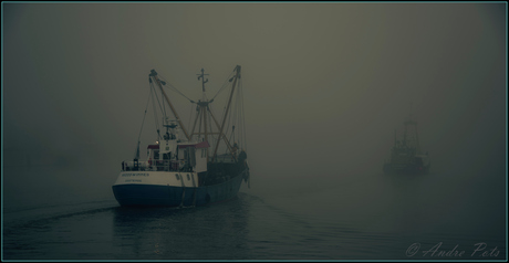 Verdwenen in de mist...