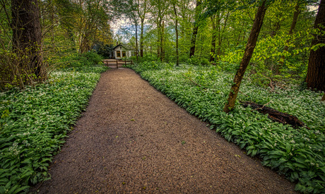 Wild garlic house