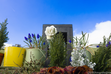 Kleurrijk gedenkteken in mooi Zeeuws-Vlaanderen.