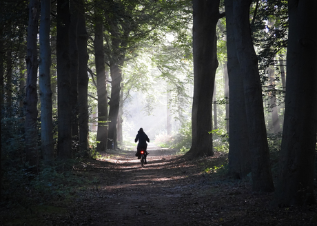 Van donker naar licht