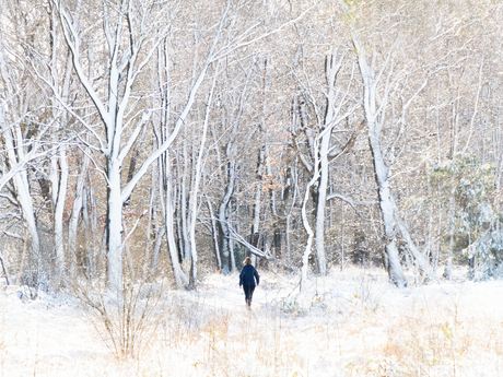 Winter in maart 