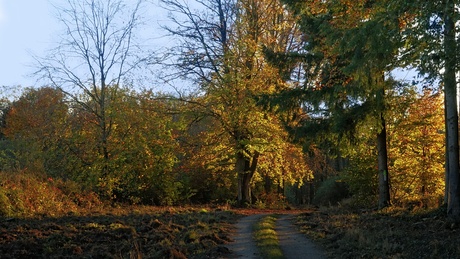 Avondzon
