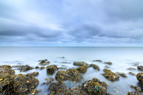 Waddenzee