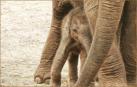 verstop je...........................................