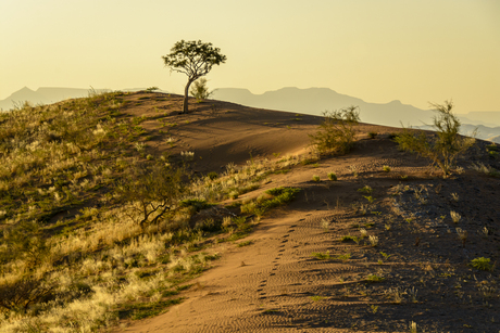 Landscape Namibia