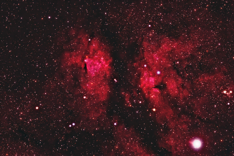 IC 1318 Vlindernevel