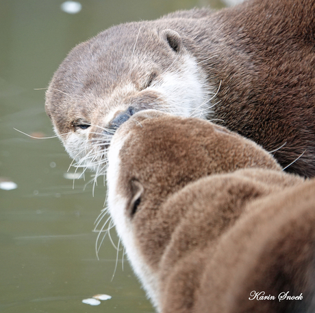 "Big kissssssss....."