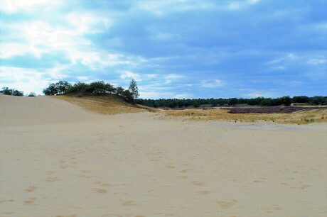 Loonse en Drunense duinen