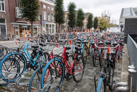 Veel fietsen in de stad