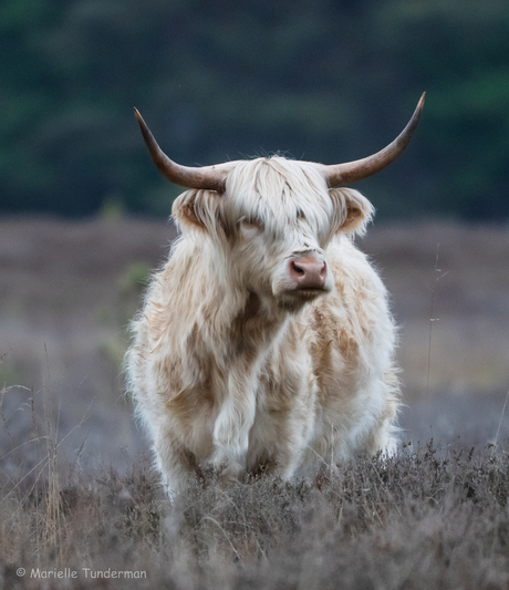 Spannende ontmoeting 