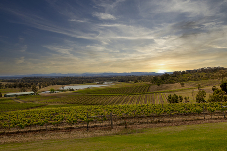 Vineyards Hunter Valley