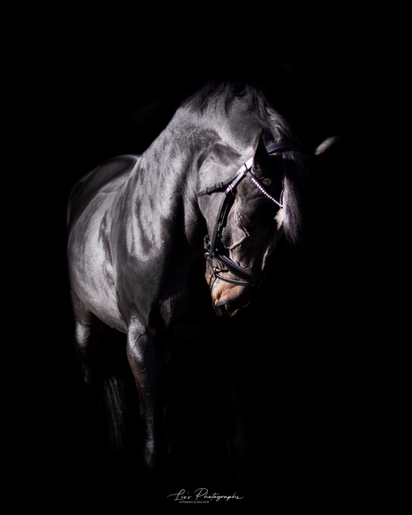 Van buitenfoto naar blackfoto