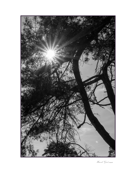 Wake-up call (eye opener)