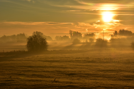 mist en zon in de uiterwaarden