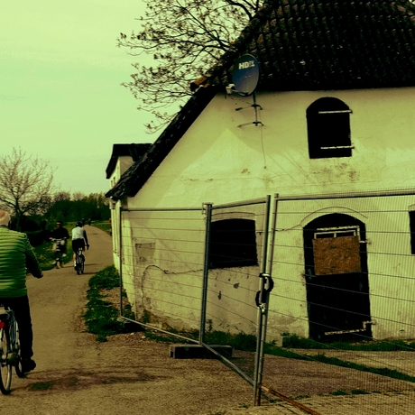 a house is not a home