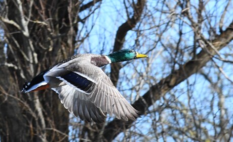 onderweg naar het voorjaar