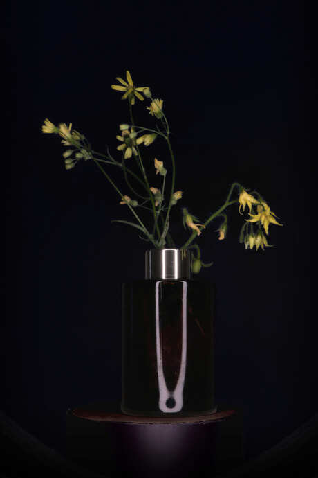 ...... stilleven.....