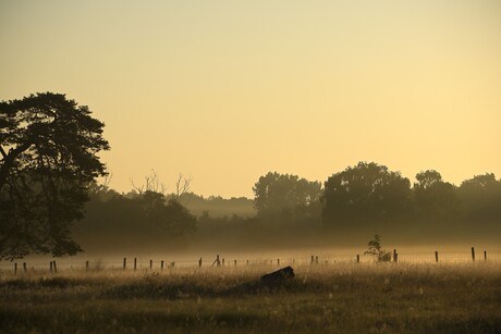 ochtend licht 
