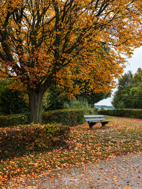 Bankje in herfstsferen...