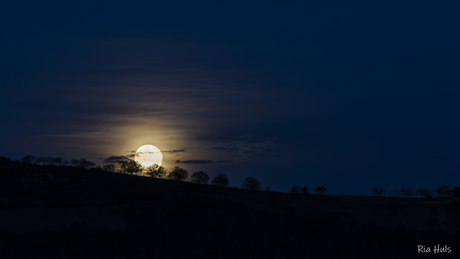 De maan in Negreda