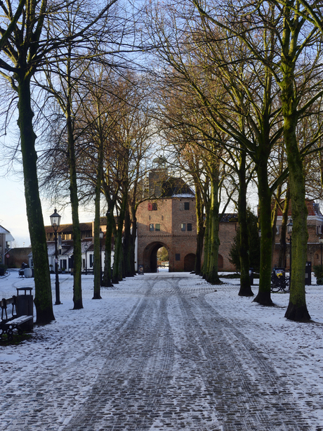 Besneeuwde Vischmakt van Harderwijk