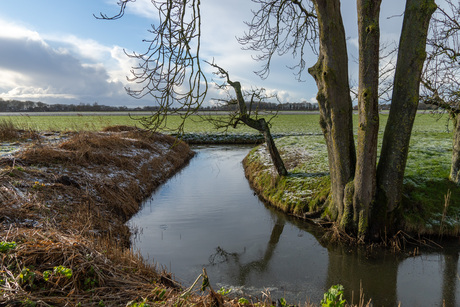 wandelrondje in de sneeuw