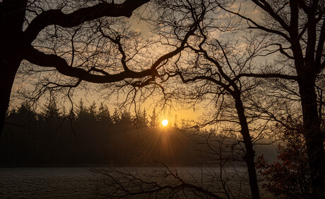 De 1e zonnestralen