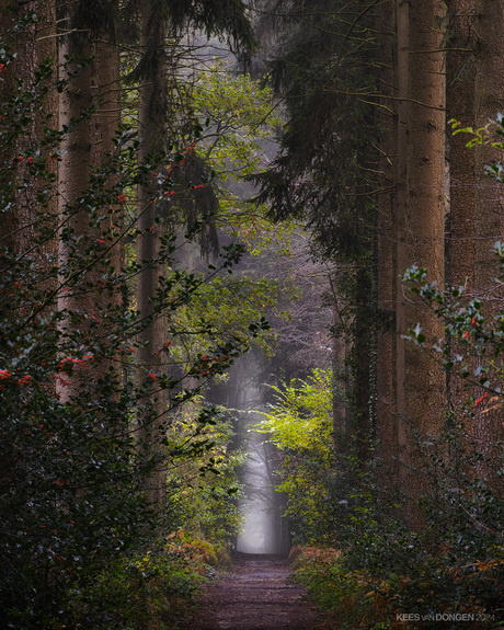 Autumn in the Netherlands