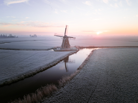 Molen De Victor, Wânswert