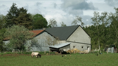 Boerderij