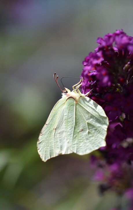 De juiste plek gevonden!