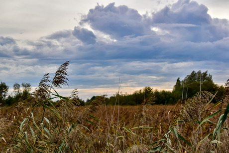 Herfst 