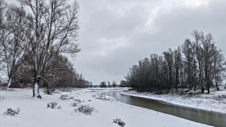 Struinen in de Klompenwaard