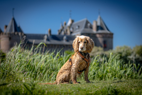 Rondje Muiderslot