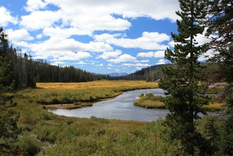 Nature colours in the west