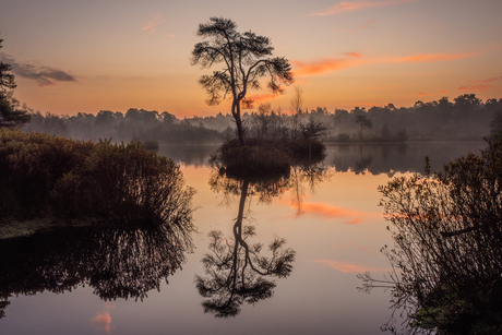 Mooie zonsopkomst Voortse Goorven 