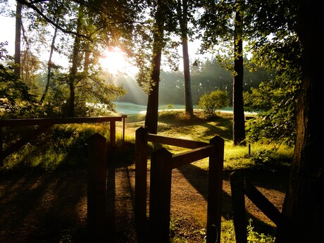 Objectieven kijken zich lens de natuur in