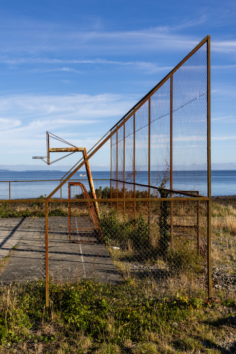 Basket with a view