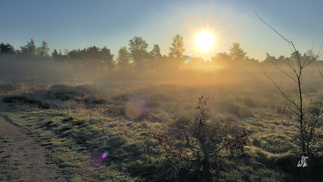 Mistige zonsopkomst 