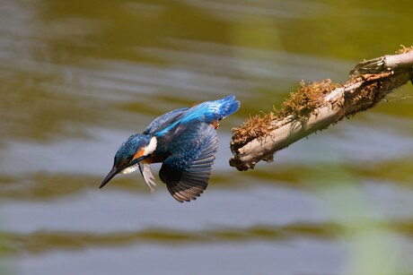 Take off !