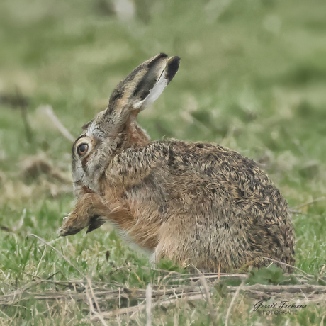 Het Ritueel van de Ochtendstilte