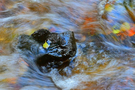  """""""BEWEGING """"""